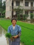 “农社对接”惠农惠民 助力十二五开局--基于对上海社区试点的调查研究