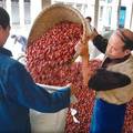 贵州省遵义县辣椒产业链存在的问题与对策分析