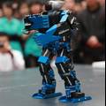 类人型机器人单人舞蹈动作的研究与开发