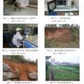 城市地下水中汞的分布规律和污染研究——以桂林市城区为例