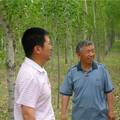 黑龙江省森林碳汇产业的调研分析