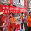 重庆市农村社会养老服务现状调查及体制健全研究