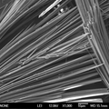 高性能无机镁盐晶须的制备、表征及应用研究