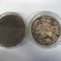 石油降解菌的分离鉴定、降解特性及其开发利用研究