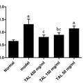 枇杷叶三萜酸对肺纤维化大鼠肺泡巨噬细胞TNF-α 、 TGF-β1表达的影响
