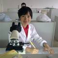 云南高校大学生皮肤蠕形螨流行特征及薄荷油疗效的研究