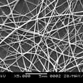 海洋鱼类胶原蛋白开发深加工产品——纳米纤维材料