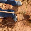红壤坡耕地抗旱措施及其增产效益