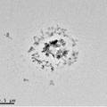 具有pH敏感的磁性β-CD微球的制备与释药性能研究