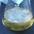 利用蛹虫草液体深层发酵高产虫草素的研究