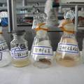大豆荚壳营养成分及主要营养成分的抗氧化活性研究
