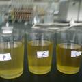 混合菌发酵菊芋汁生产高纤功能性饮料