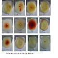 海金沙内生真菌的分离鉴定及其JH001菌    株产红色色素培养条件的研究