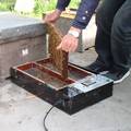 精确量可调控蜂毒采集器