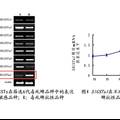 谷胱甘肽转移酶SlGSTu1在斜纹夜蛾毒死蜱抗性作用的研究