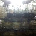 琼胶酶海洋菌发酵条件优化、酶促动力学及降解产物开发研究