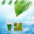 绿色食品脱硫剂--生物催化剂脱除食品中二氧化硫的研究