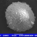 磁性微球的表面特性对BSA及脂肪酶固载影响的研究