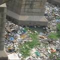 巡司河水质污染现状调研及防治对策
