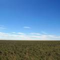呼伦贝尔草原不同放牧梯度上土壤酶活性的变化