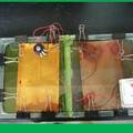 薄型稳压输出微藻太阳能电池
