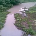 泸州玉带河水质调查报告