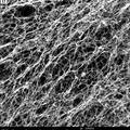细菌纤维素/纳米银复合抗菌材料