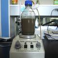利用好氧硝化反硝化技术处理氨基酸发酵废水