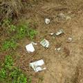 农村废弃农药瓶的处置状况调查与分析