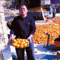 江西南康市脐橙产业的现状调研