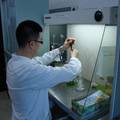 固定化藻平行板式生物反应器深度脱氮和除磷研究