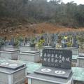 让逝者安息，让生者安心——宁波市全国首例“经济适用墓”政策研究