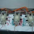 电针对不同血压水平大鼠的镇痛效应观察