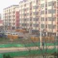 “撤村建居”面临的困境及发展走向的调查和研究——以天津市为个案