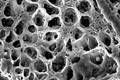 多孔醋酸纤维素微球的制备方法与工艺研究