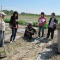 新疆棉花生产的困境分析——以农户家庭为单位的分析