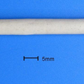 丝素/贝壳复合材料制备人工骨的初步实验研究