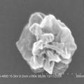 高温处理聚丙烯腈微球制备多孔碳材料