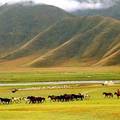 生态补偿区域的空间选择研究——以甘南藏族自治州草地生态系统为例