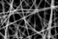 胶原蛋白纤维制备--新材料应用