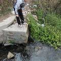 章江水污染状况调查及治理保护建议