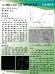 Tau的糖基化对阿尔兹海默症的影响