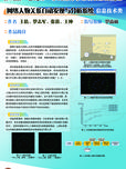 网络人物关系自动发现与分析系统