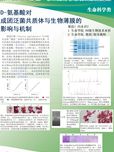 D-氨基酸对成团泛菌共质体和生物薄膜形成与解聚的影响及机制