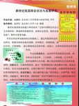 新世纪我国商会状况与发展研究