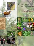 土家族传统药用植物彩色图典