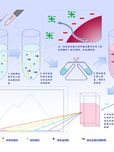 超痕量蛋白质检测方法的研究--基于分子仿生学原理的纳米金共振散射探针