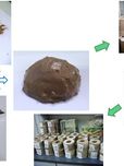绿色固沙保育棒