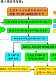 新型FGFR1酪氨酸激酶抑制剂的合成及体外抗肿瘤活性研究
