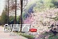 "创青春"全国大学生创业大赛章程